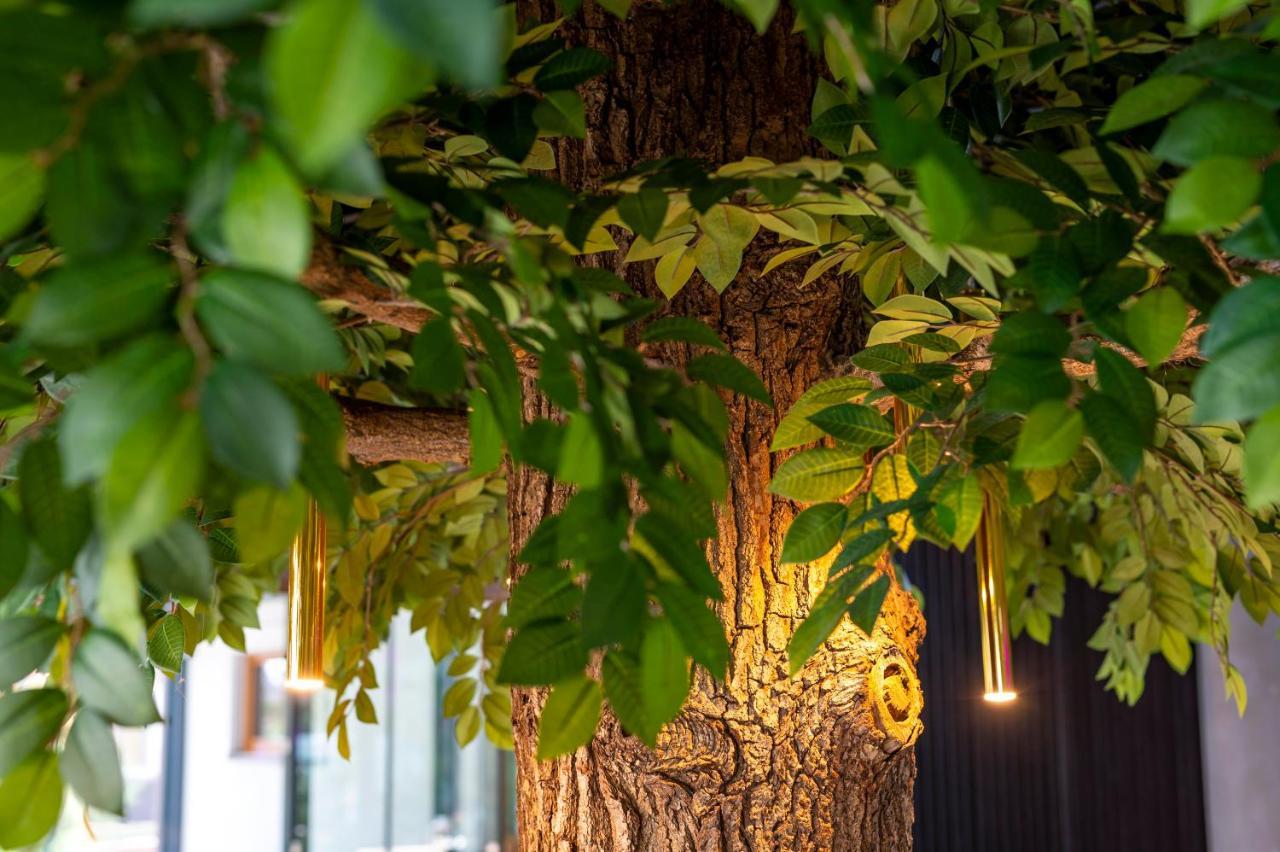 Sailor Leba Bed & Breakfast Ngoại thất bức ảnh